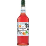 GIFFARD ΣΙΡΟΠΙ ΣΑΝΓΚΟΥΙΝΙ 1L