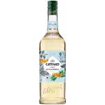 GIFFARD ΣΙΡΟΠΙ GINGER 1L