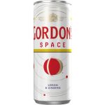 GORDONS SPACE RTD 275ML