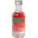 ABSOLUT WATERMELON ΒΟΤΚΑ 50ML